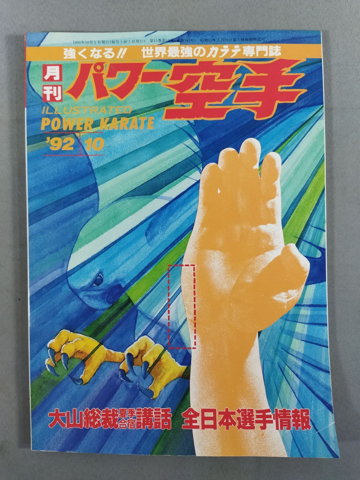 POWER KARATE 182