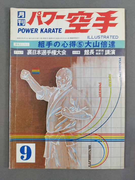 POWER KARATE 31