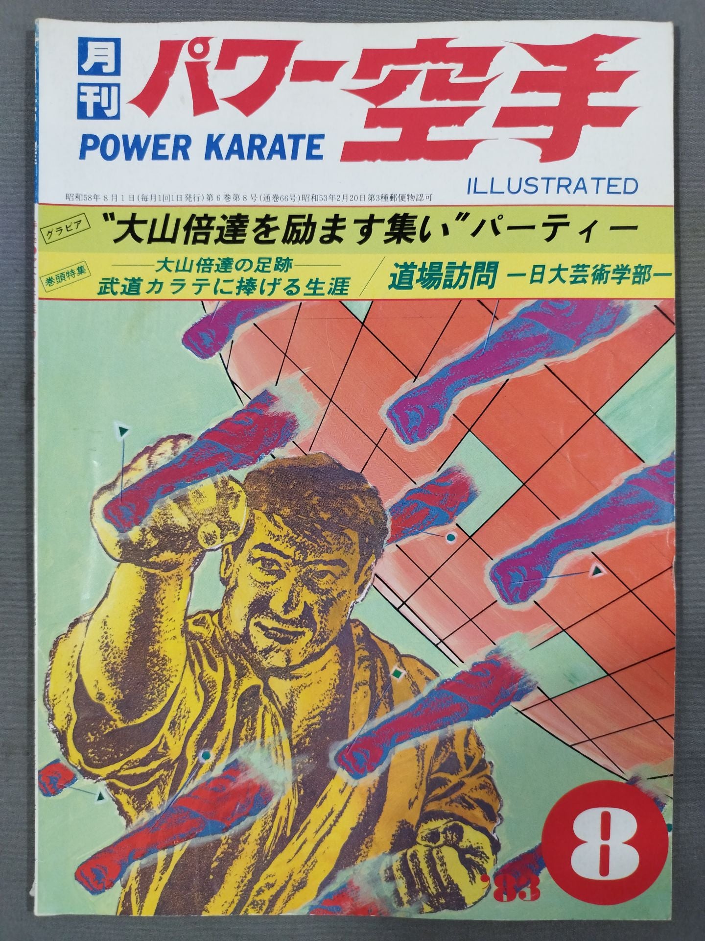 POWER KARATE 66