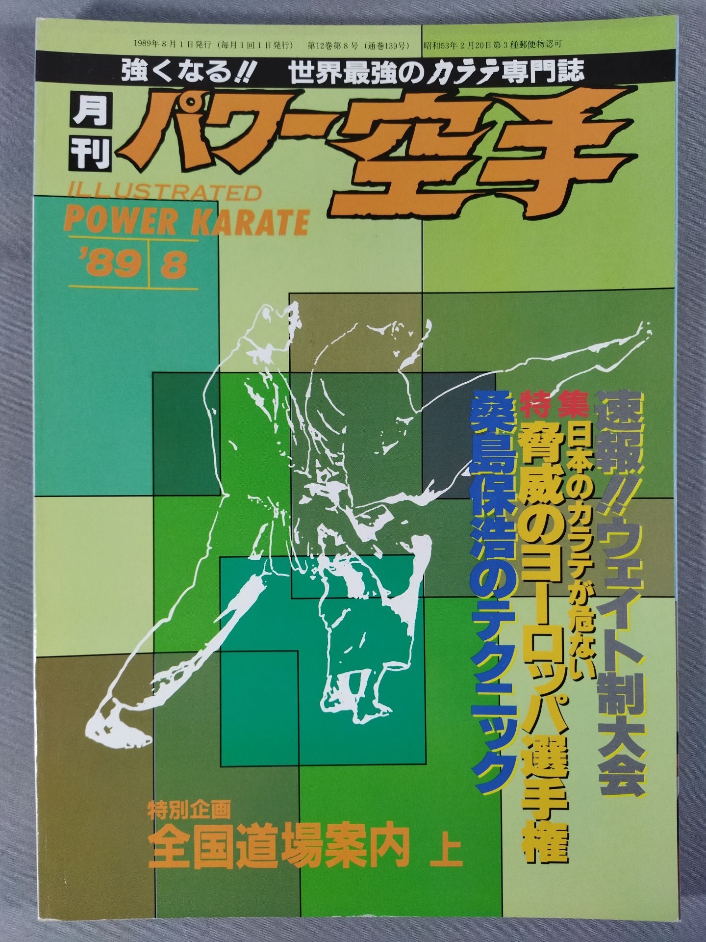 POWER KARATE 139