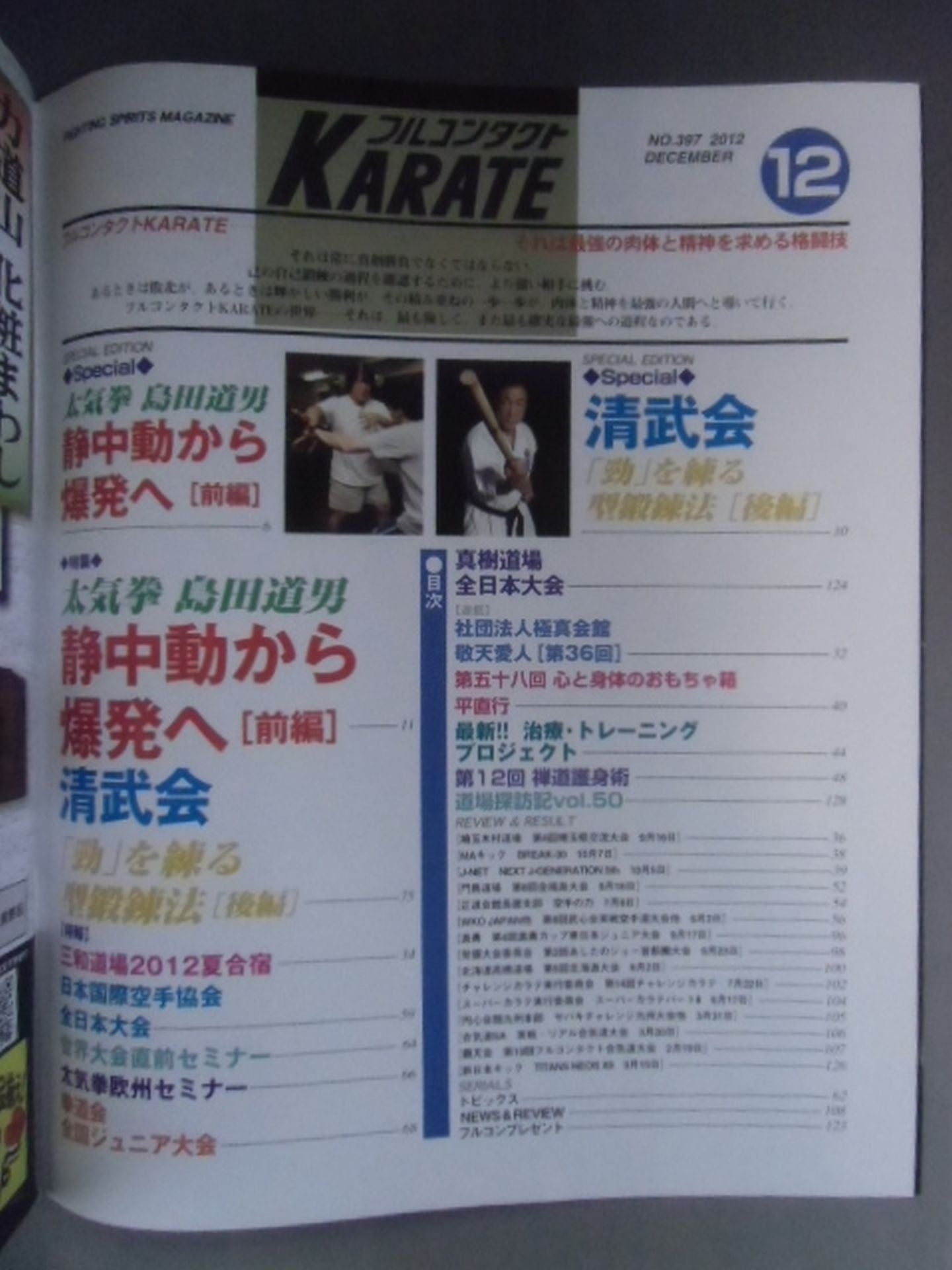 Full Contact KARATE310