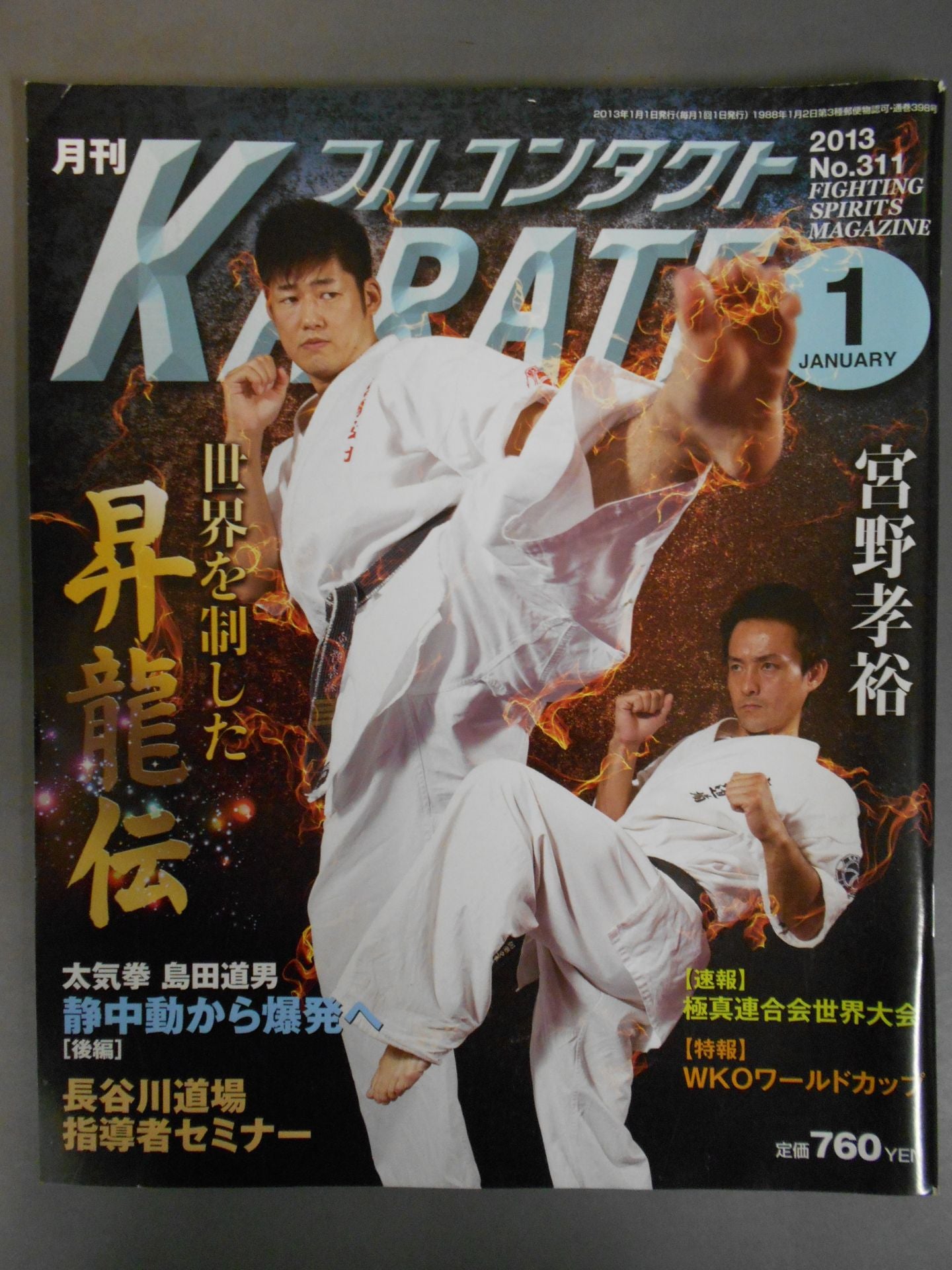 Full Contact KARATE311