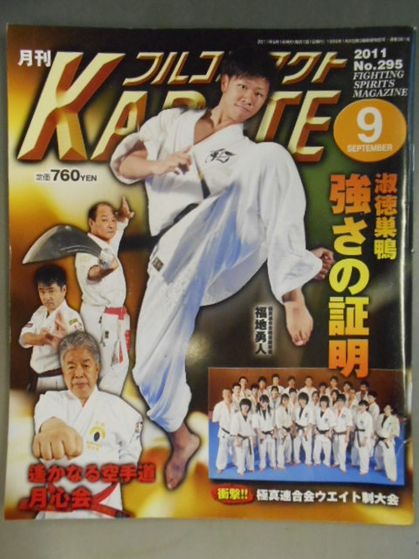 Full Contact KARATE295