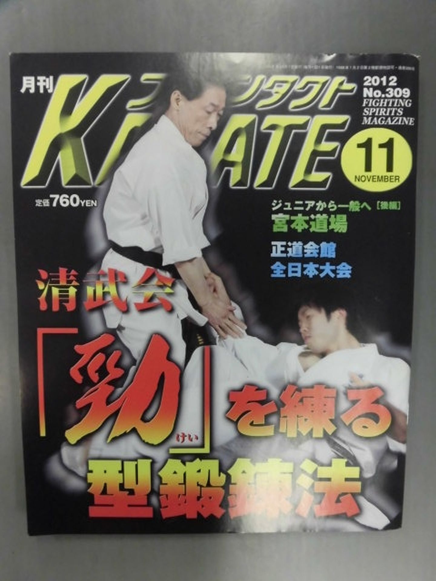Full Contact KARATE309
