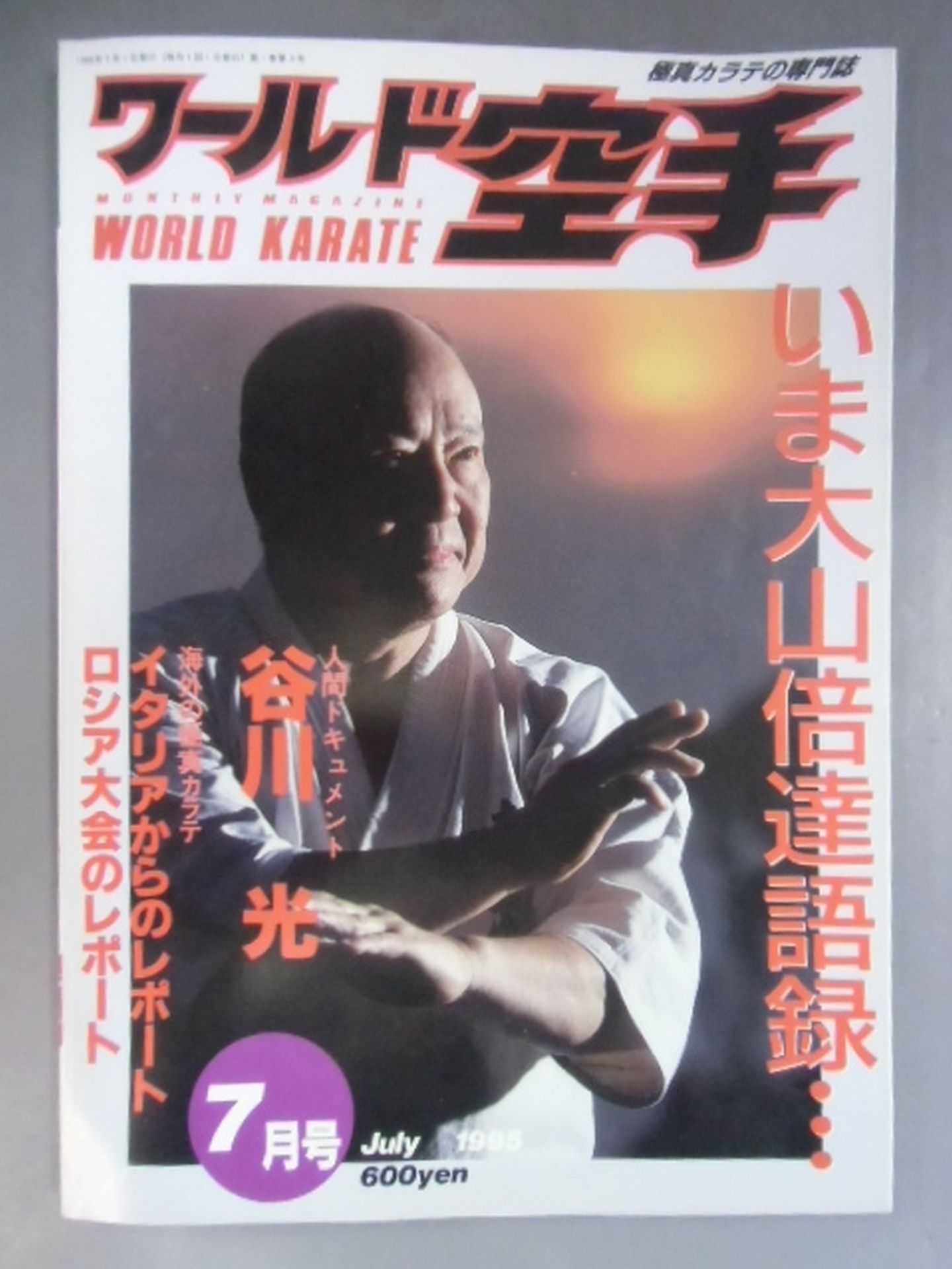 WORLD KARATE 3