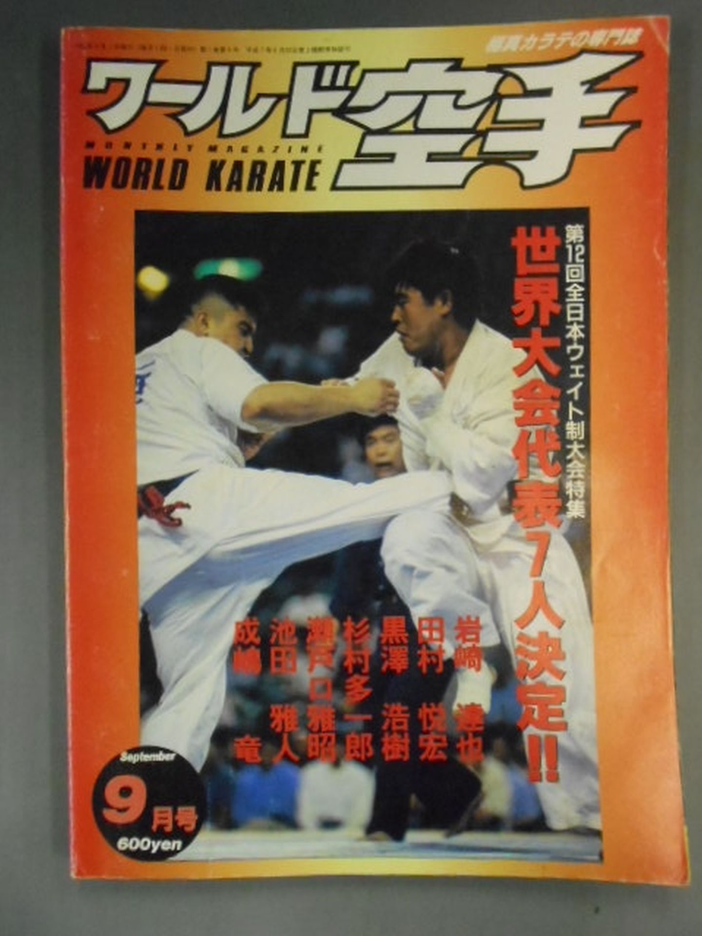 WORLD KARATE 5