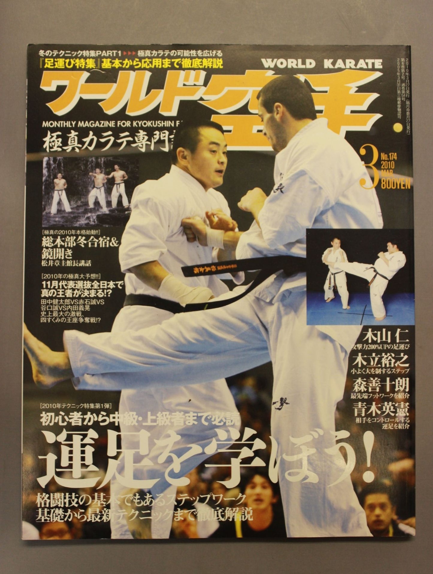 WORLD KARATE 174