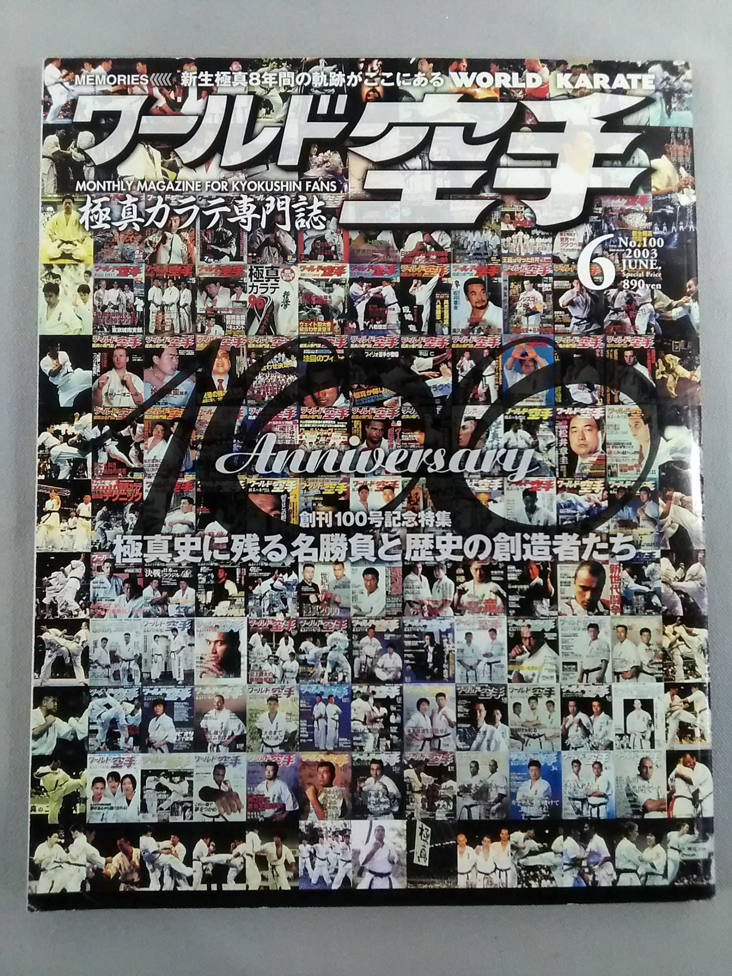 World KARATE 100