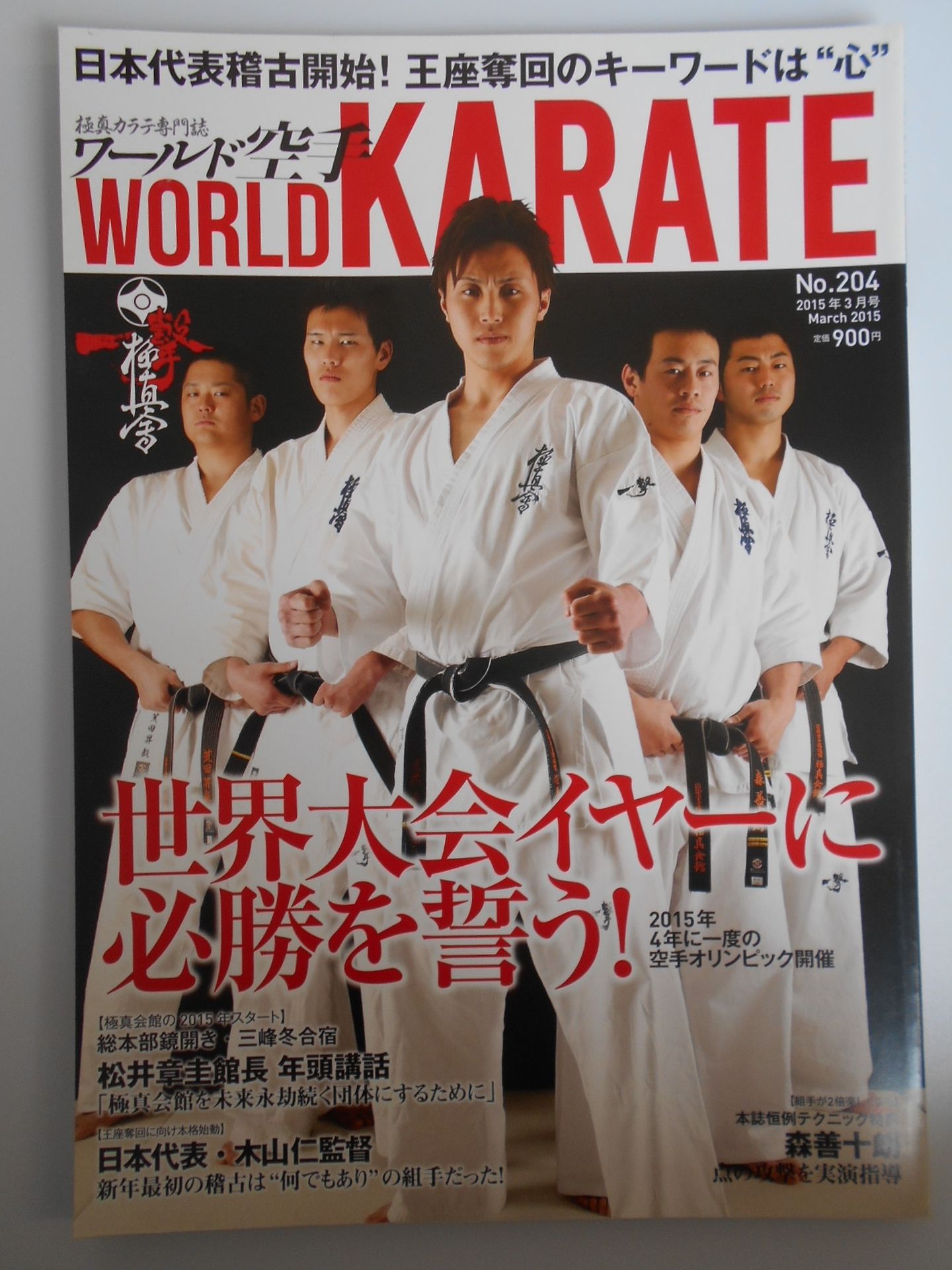 WORLD KARATE 204