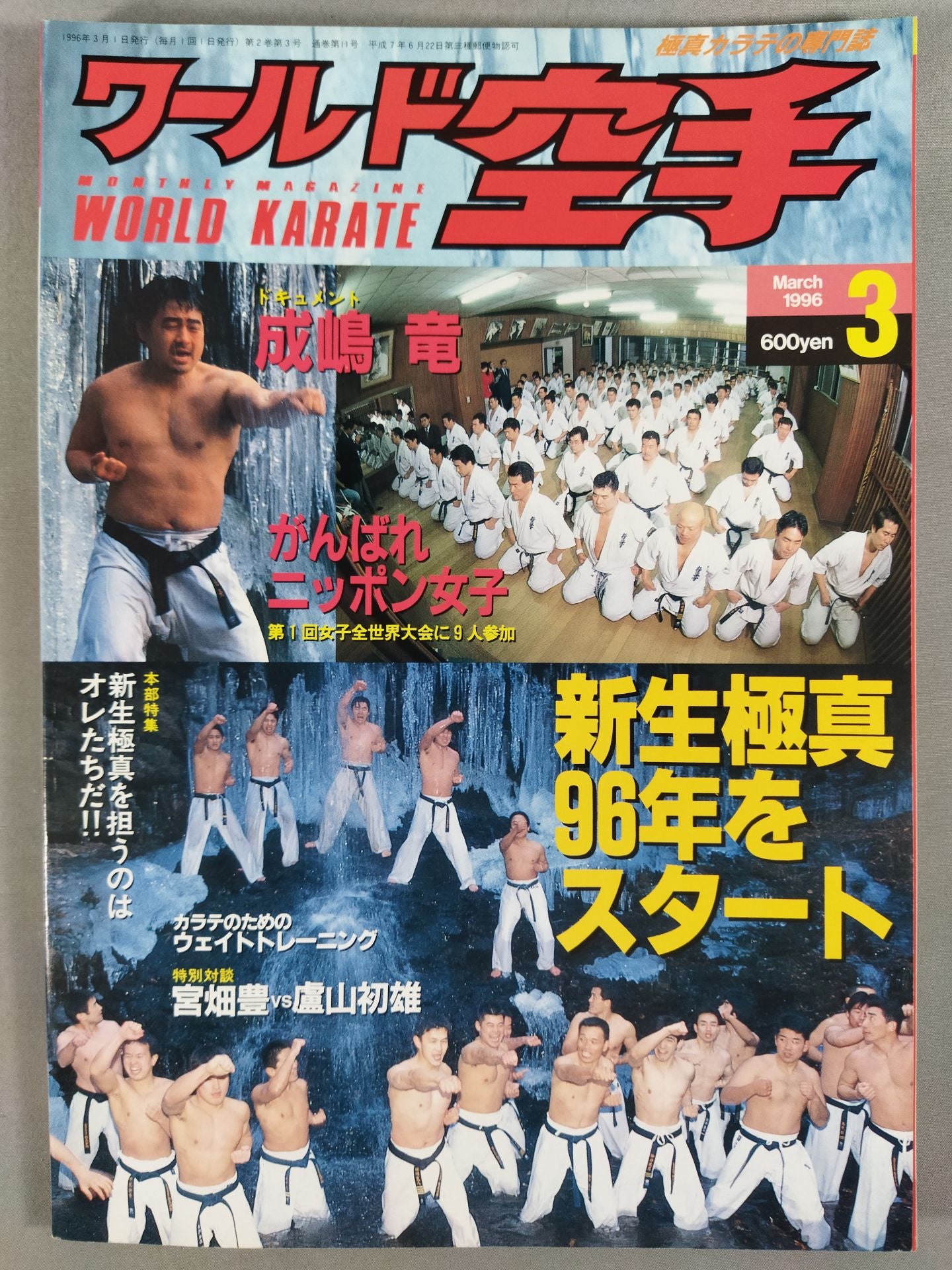 WORLD KARATE 11
