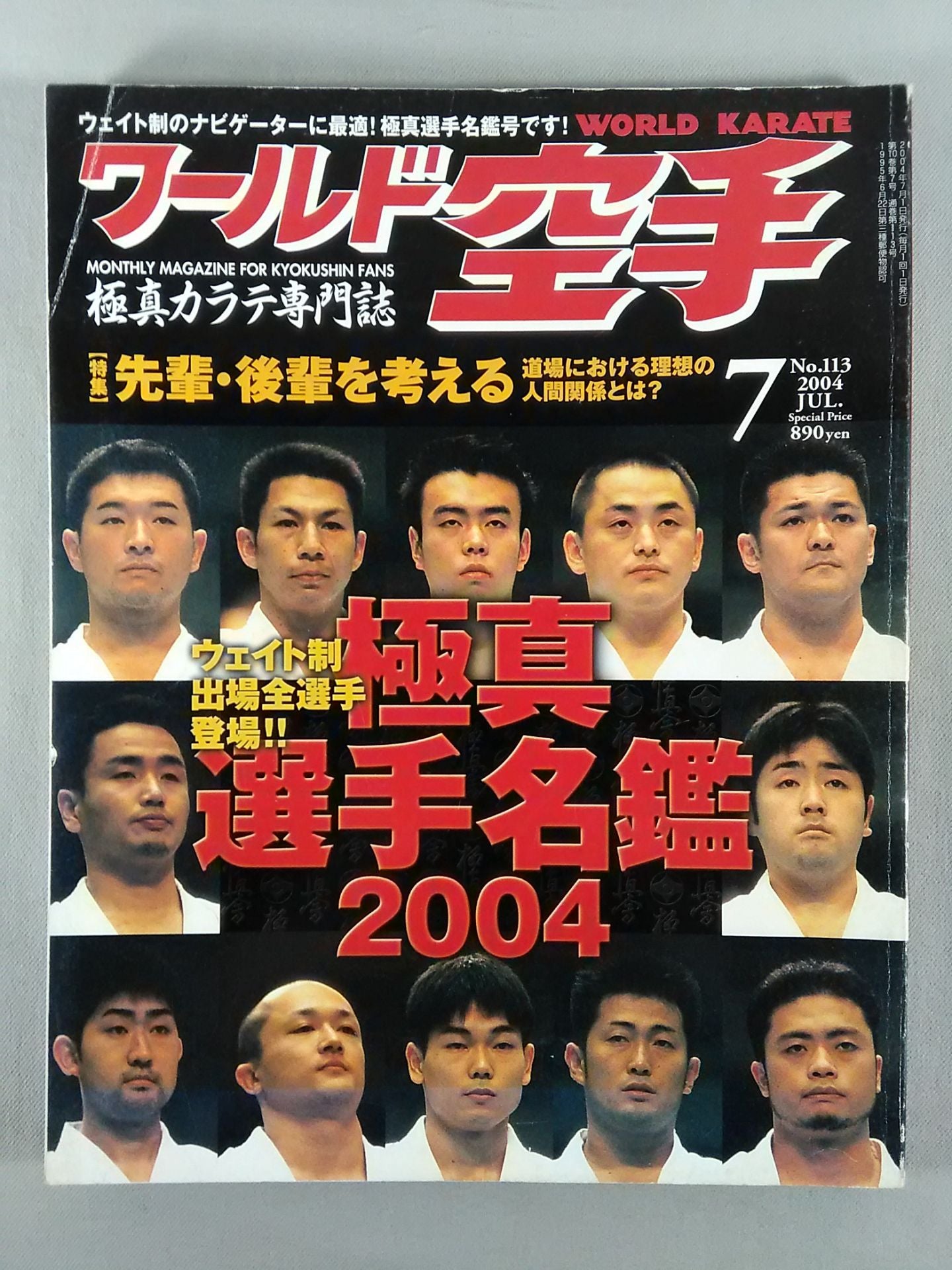 WORLD KARATE 113