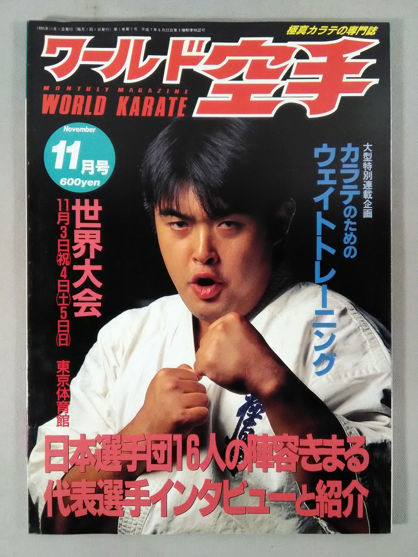 WORLD KARATE 7