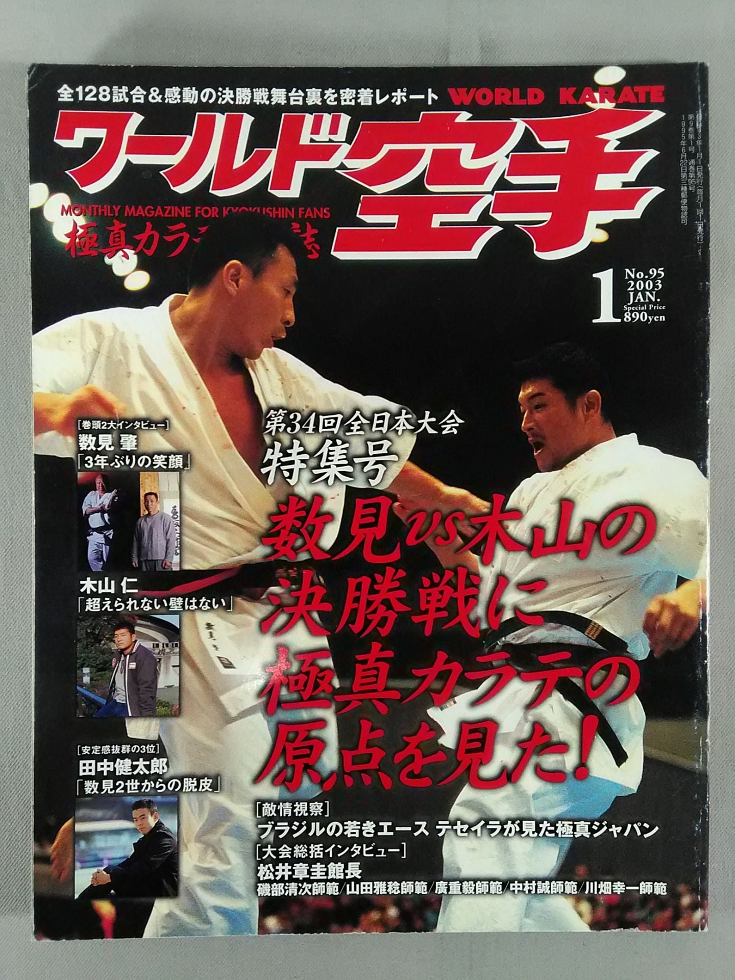 WORLD KARATE 95