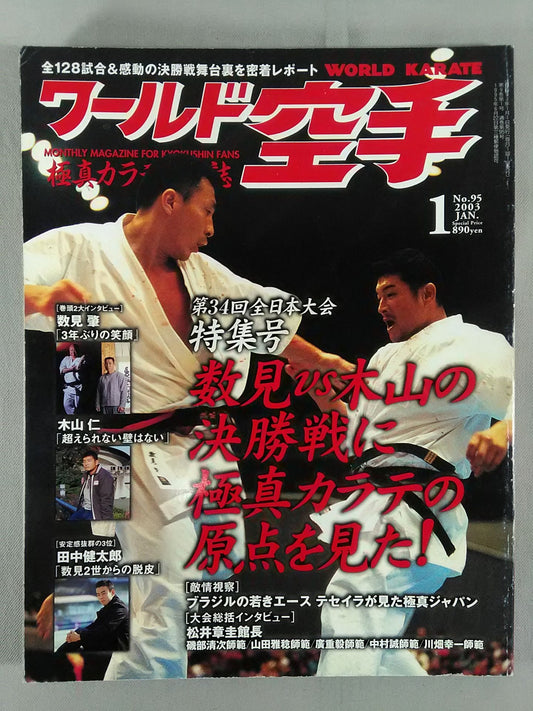 WORLD KARATE 95