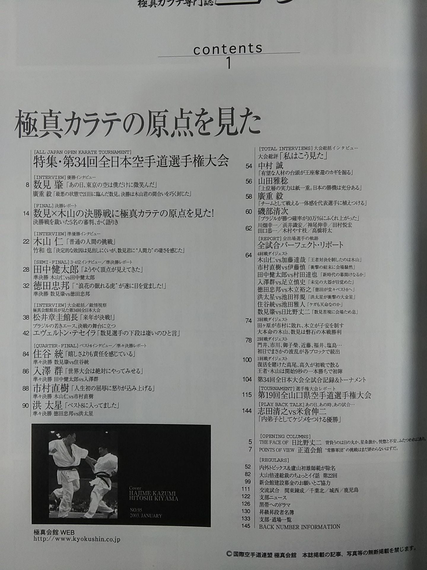 WORLD KARATE 95