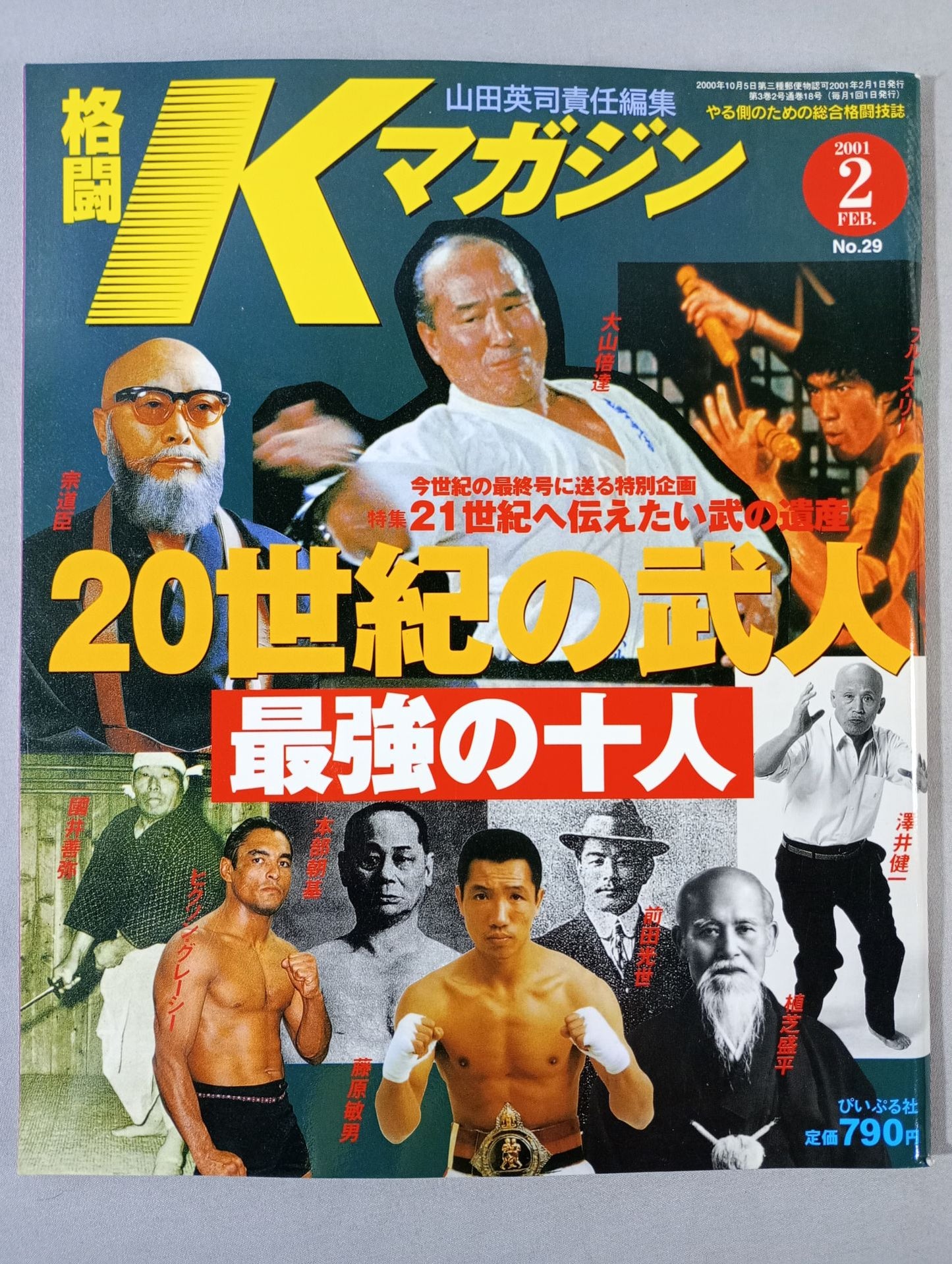 Fighting K Magazine 29