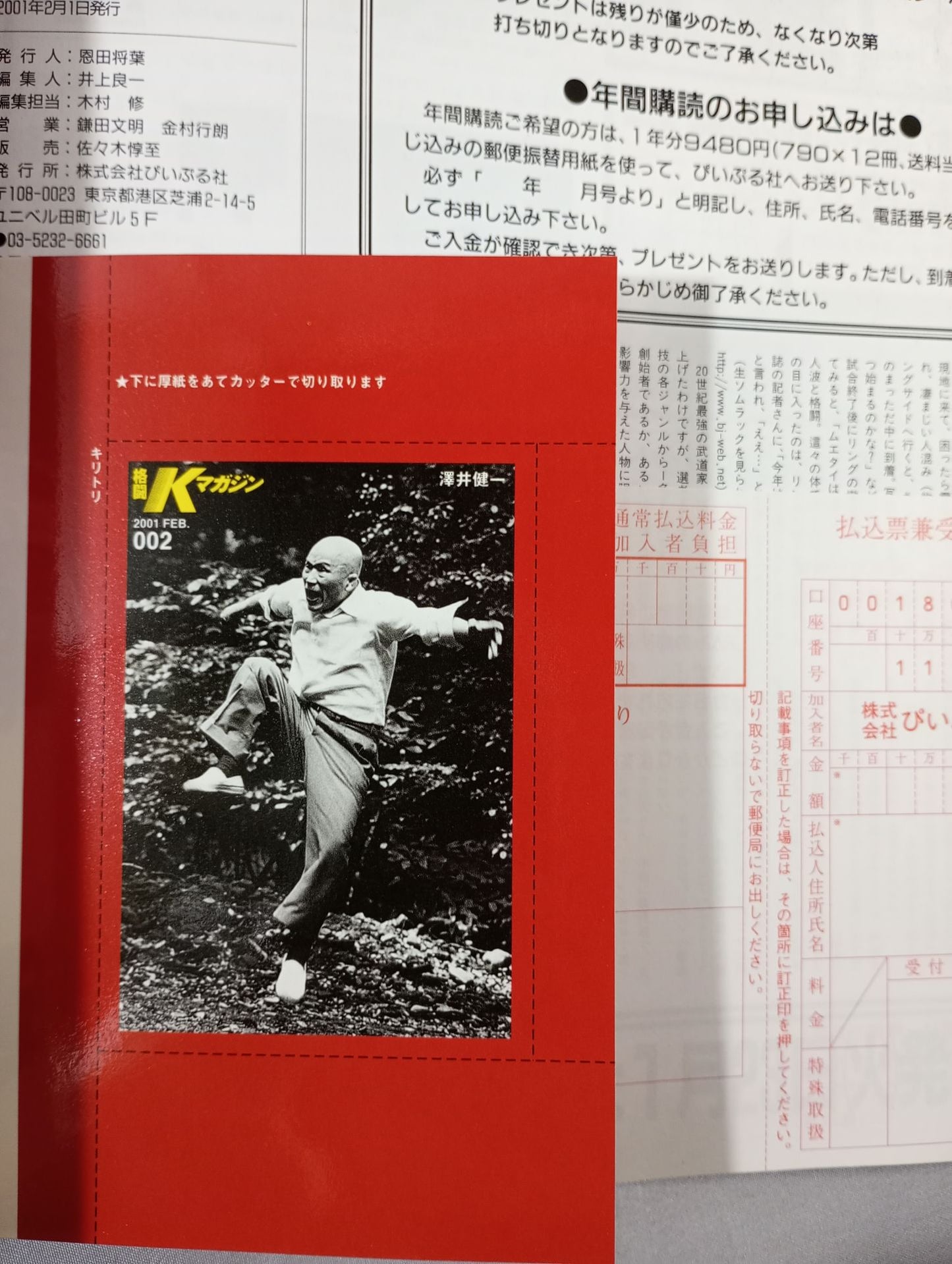 Fighting K Magazine 29