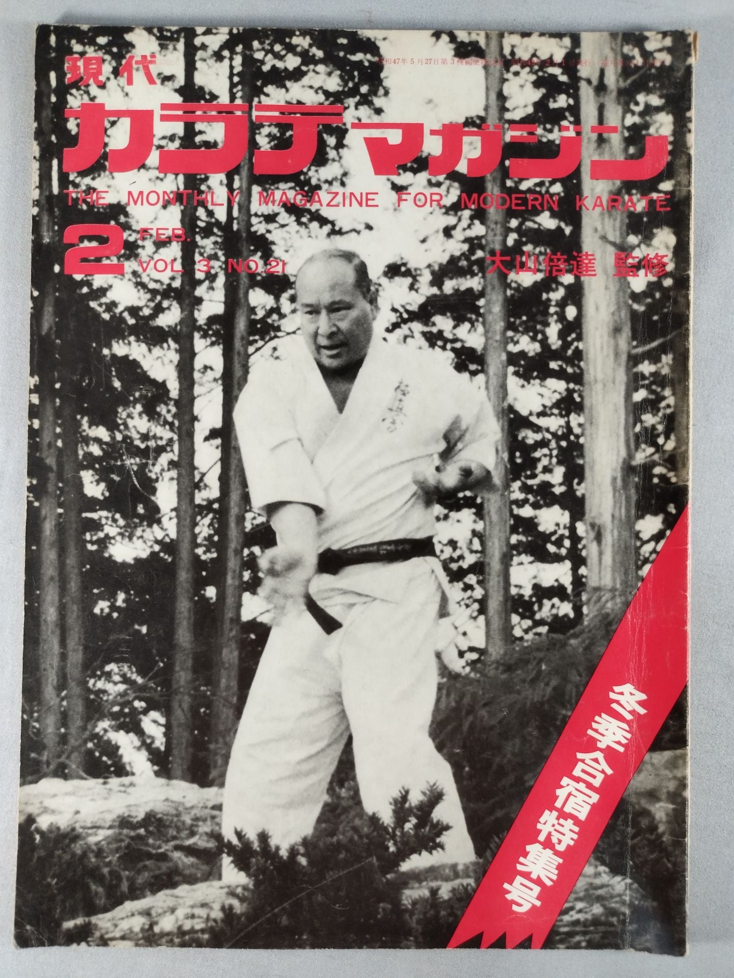 Hyundai KARATE Magazine Vol.3 No.21
