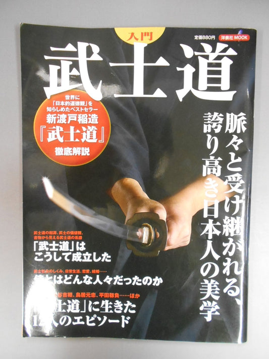 Introductory Bushido