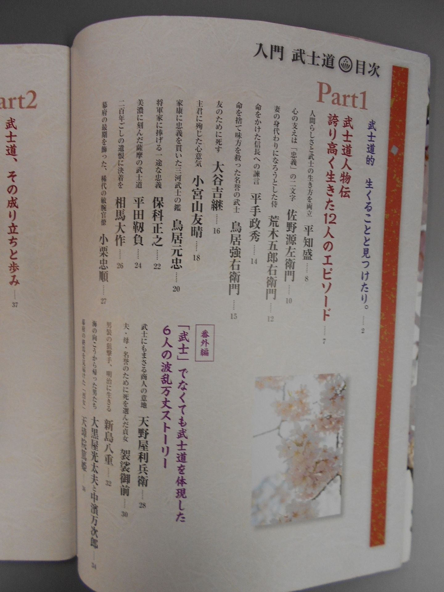 Introductory Bushido