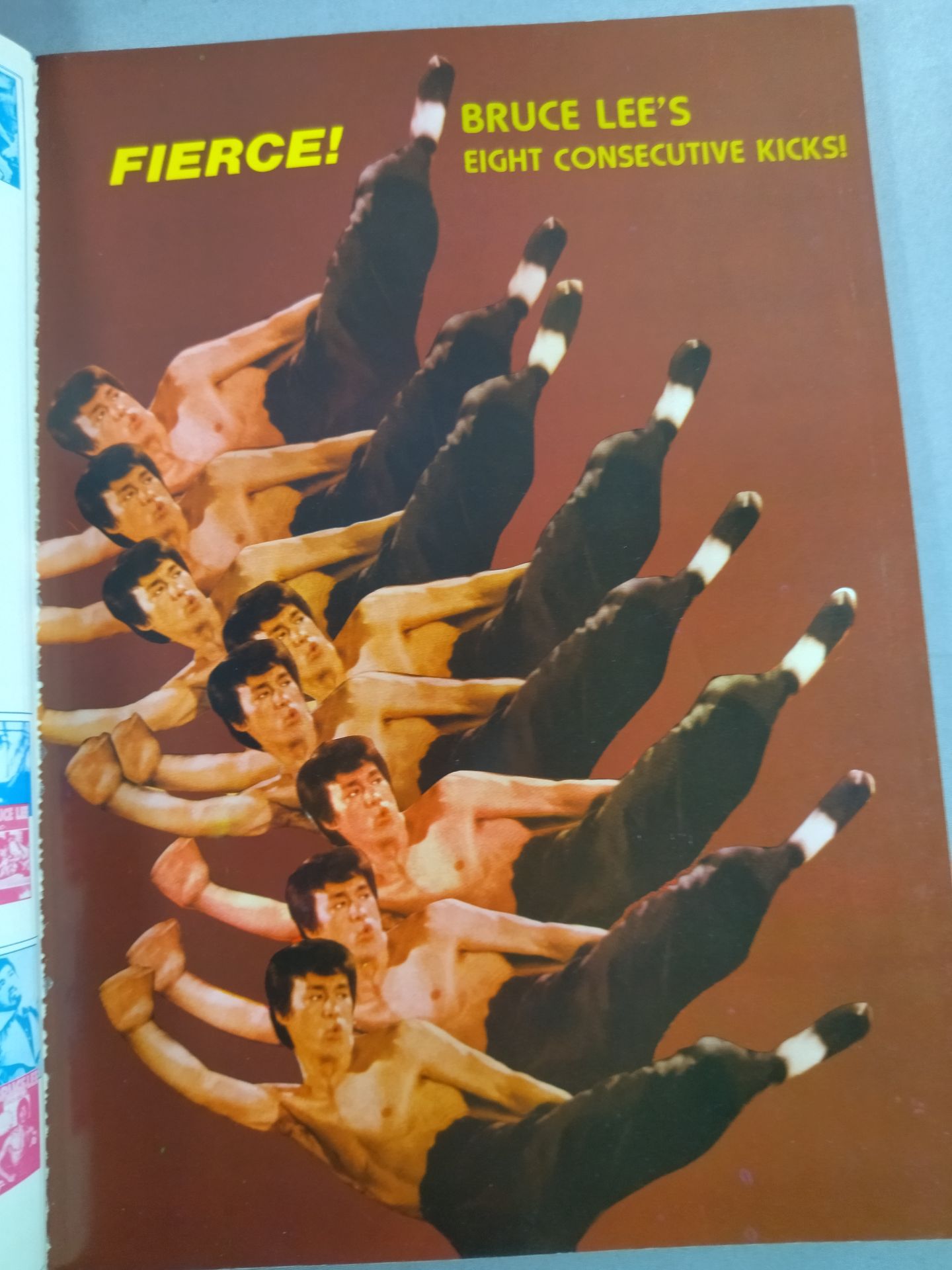 BRUCE LEE REVENGES...