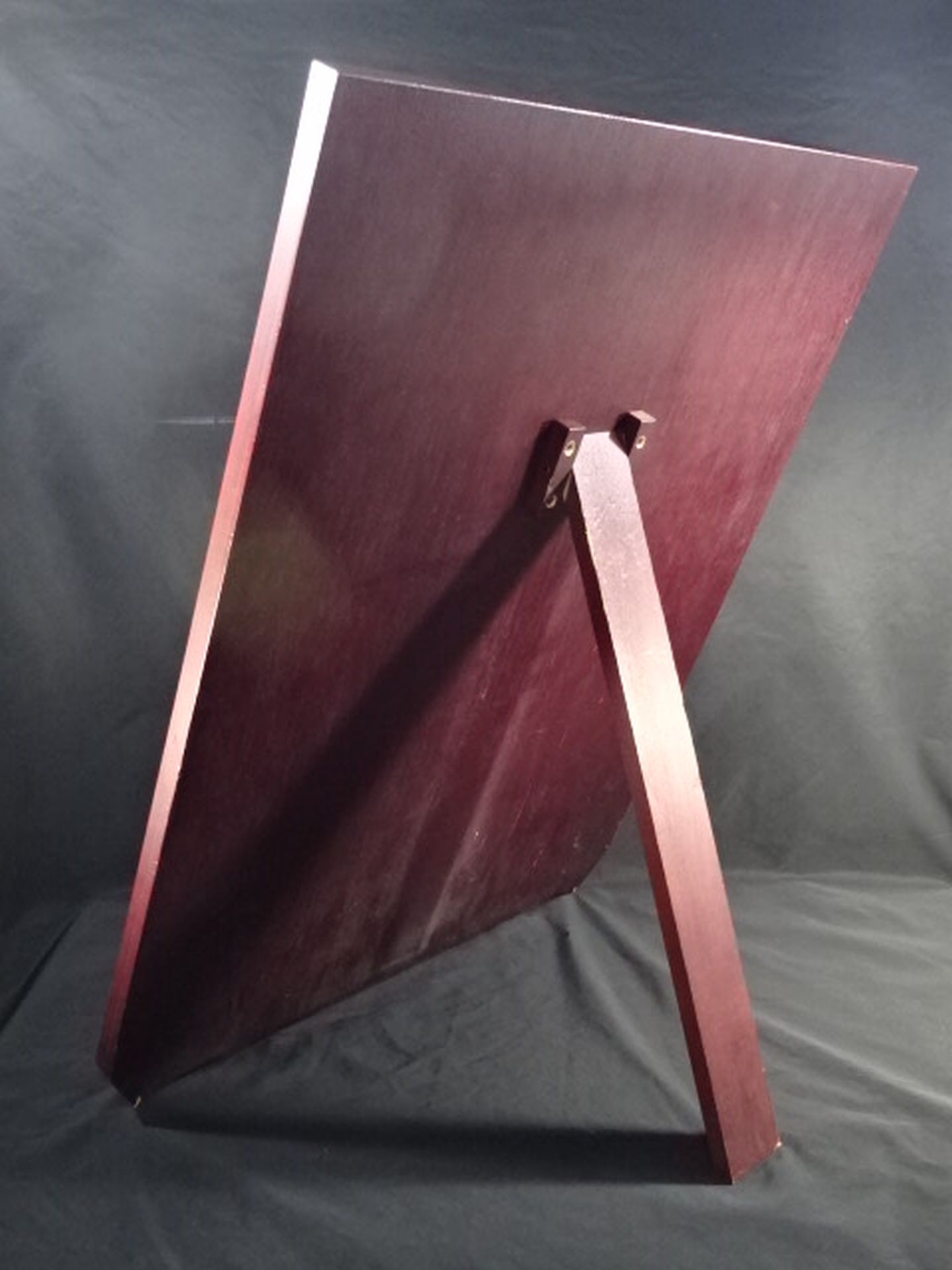 ★松本好二★ リッキー・ディオニオ戦 勝利者賞の盾