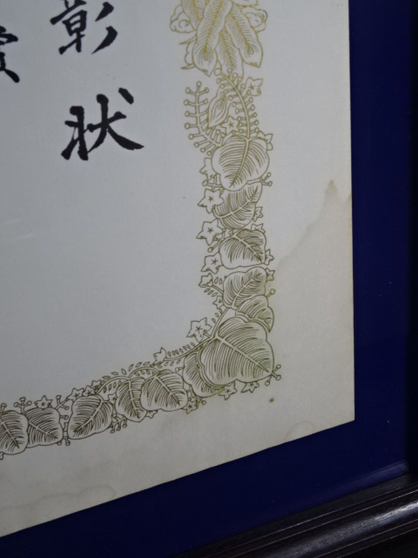 ★鬼塚勝也★ 1995年度JBC日本ボクシングコミッション特別賞の賞状