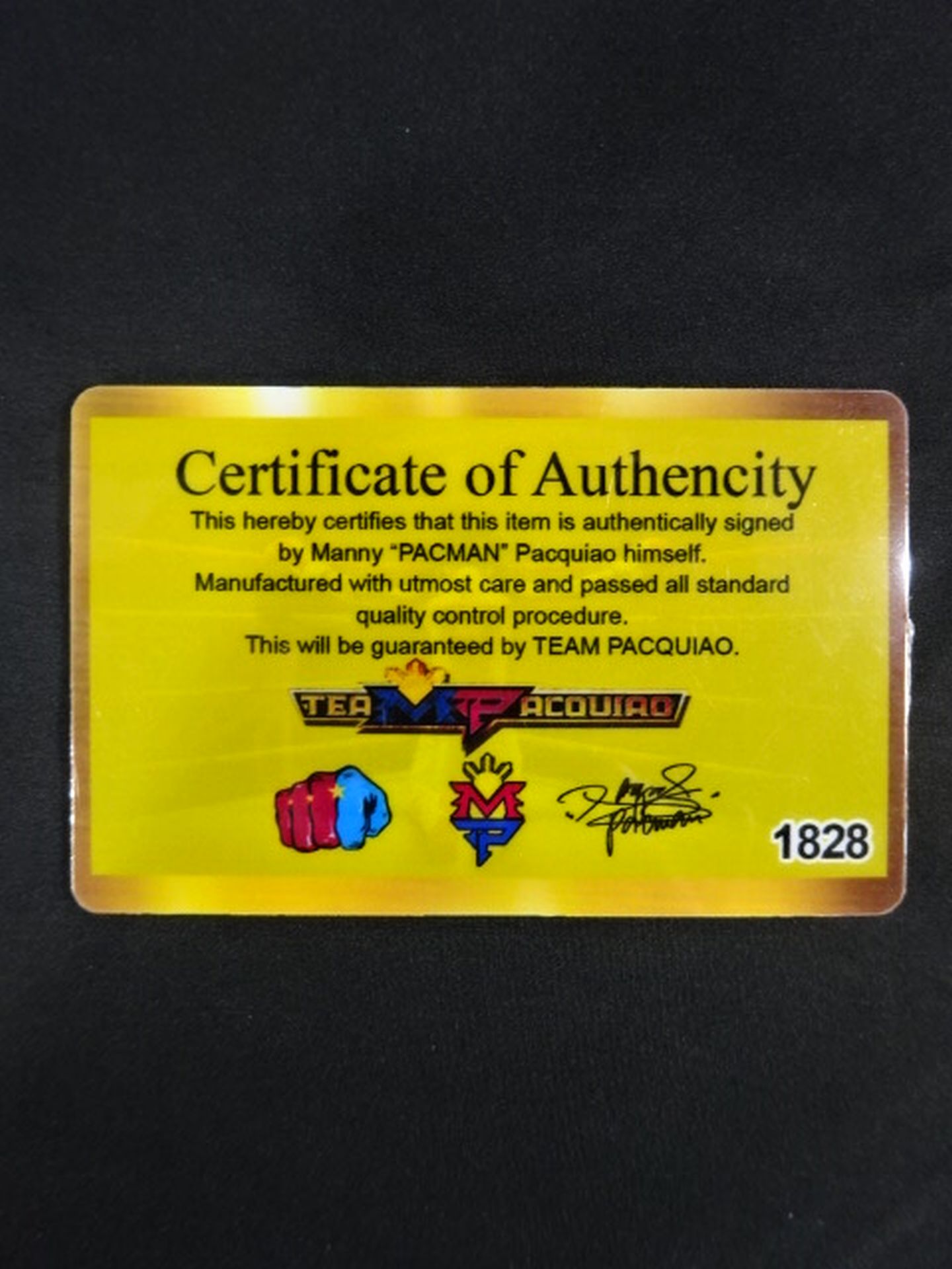 【Manny Pacquiao hand signed autograph】Team Pacquiao Official Boxing Gloves