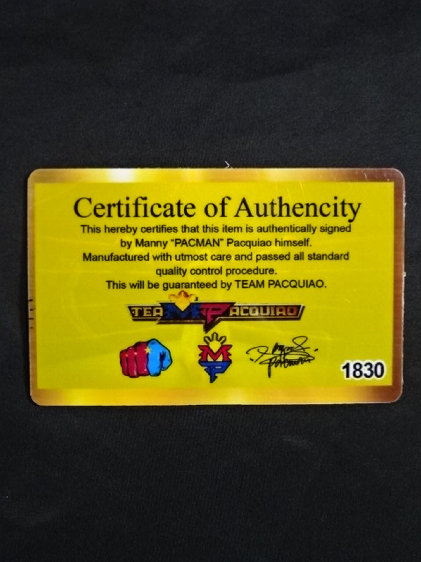 【Manny Pacquiao hand signed autograph】Team Pacquiao Official Boxing Gloves