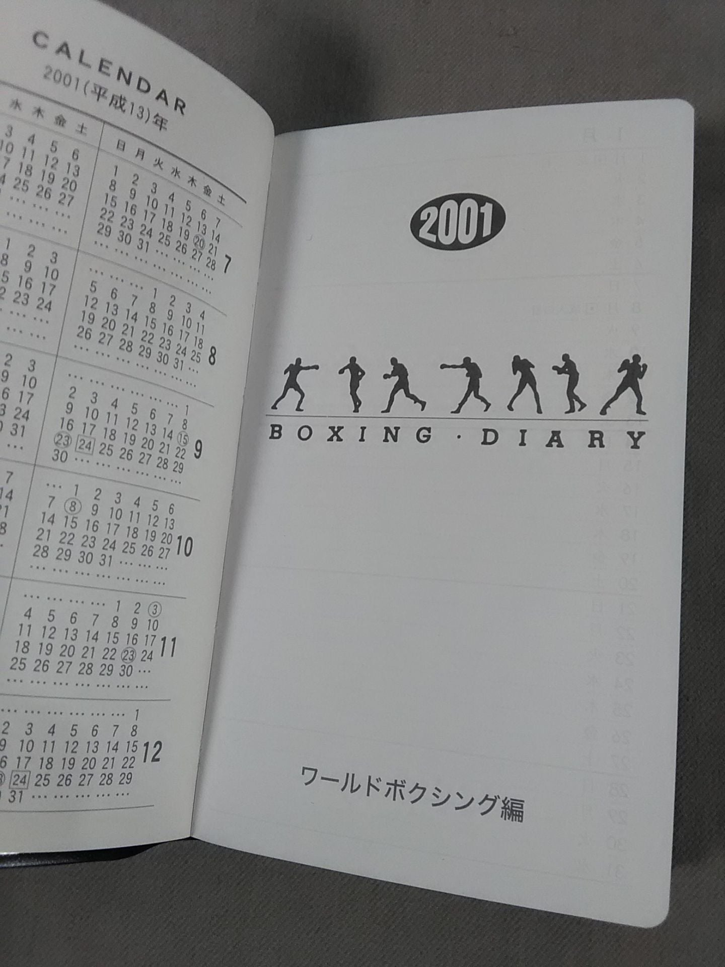 2001 BOXING DIARY