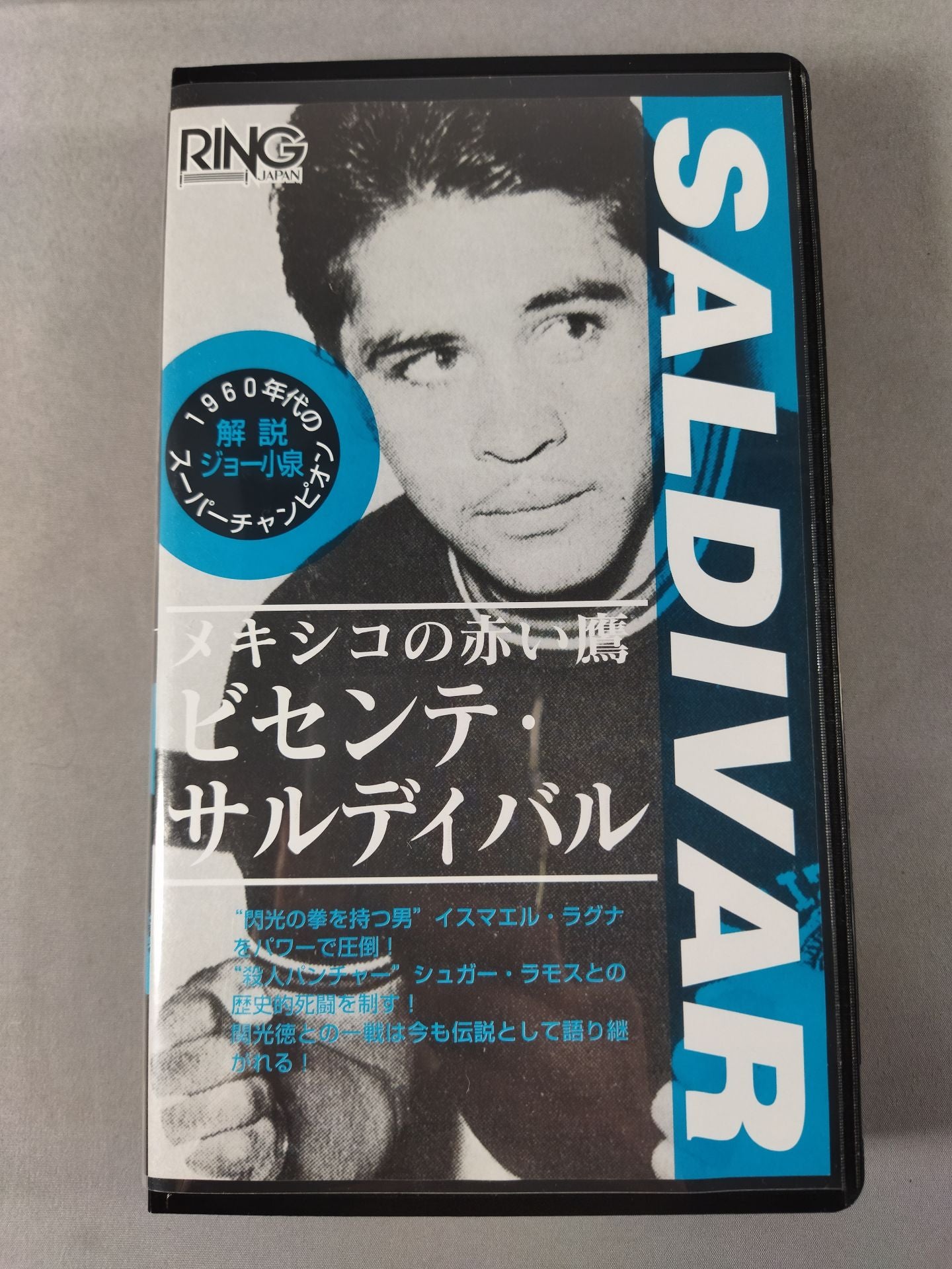 No.287 メキシコの赤い鷹 ビセンテ・サルティバル