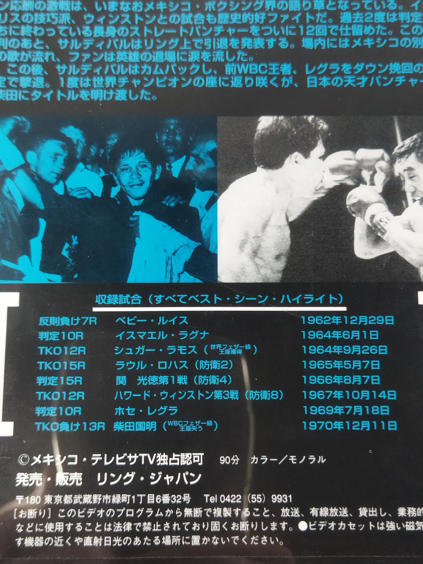 No.287 メキシコの赤い鷹 ビセンテ・サルティバル