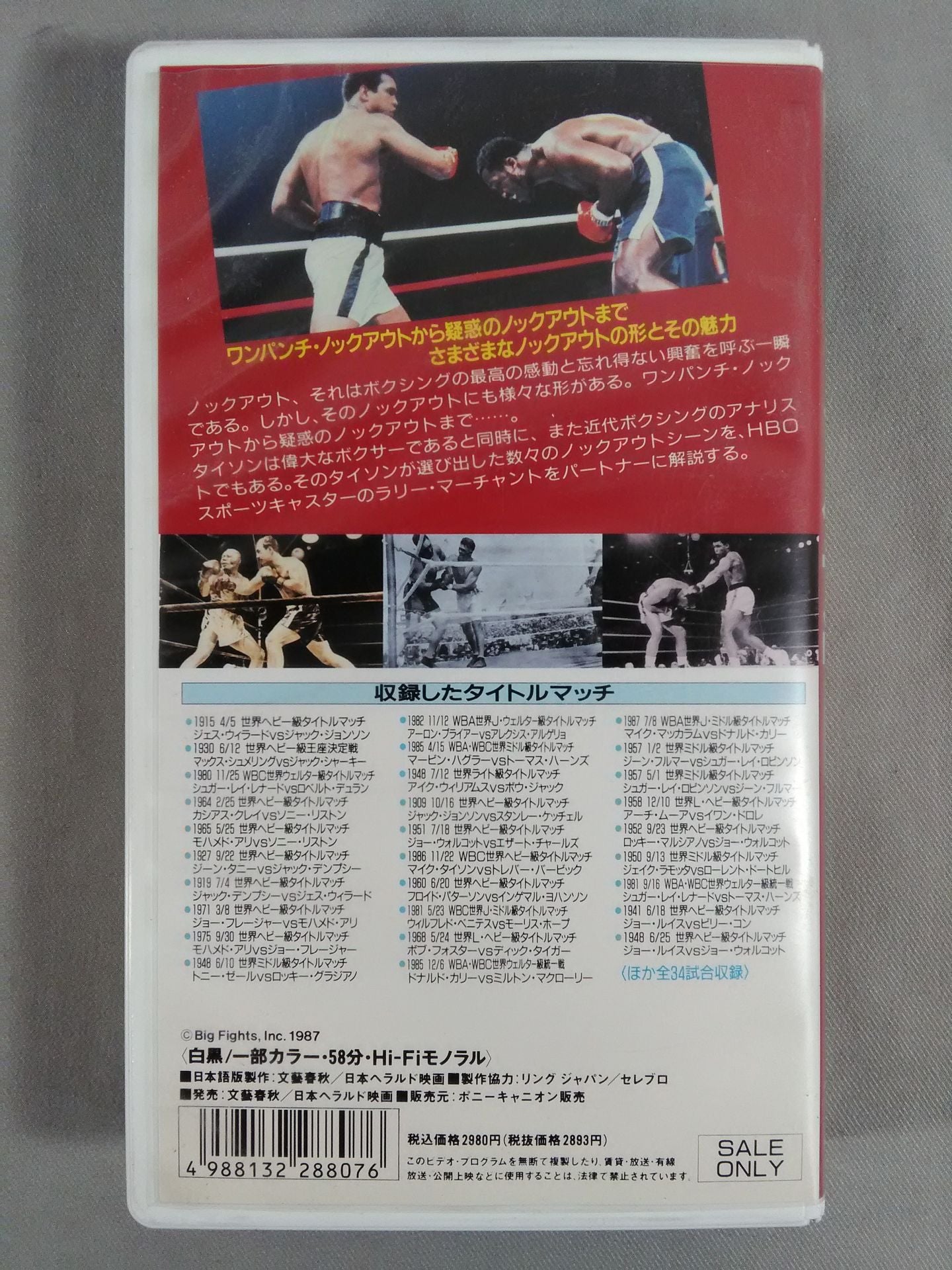 Number Champion Legend 4 Knockout