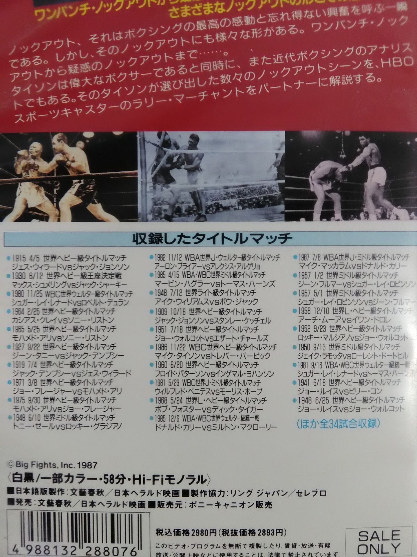 Number Champion Legend 4 Knockout