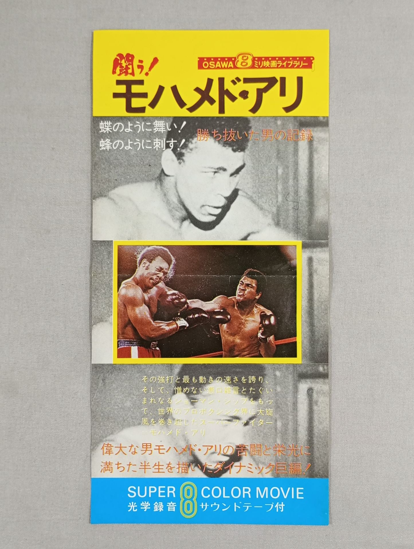 ★蝶のように舞い!蜂のように刺す!★ 闘う! モハメド・アリ 勝ち抜いた男の記録