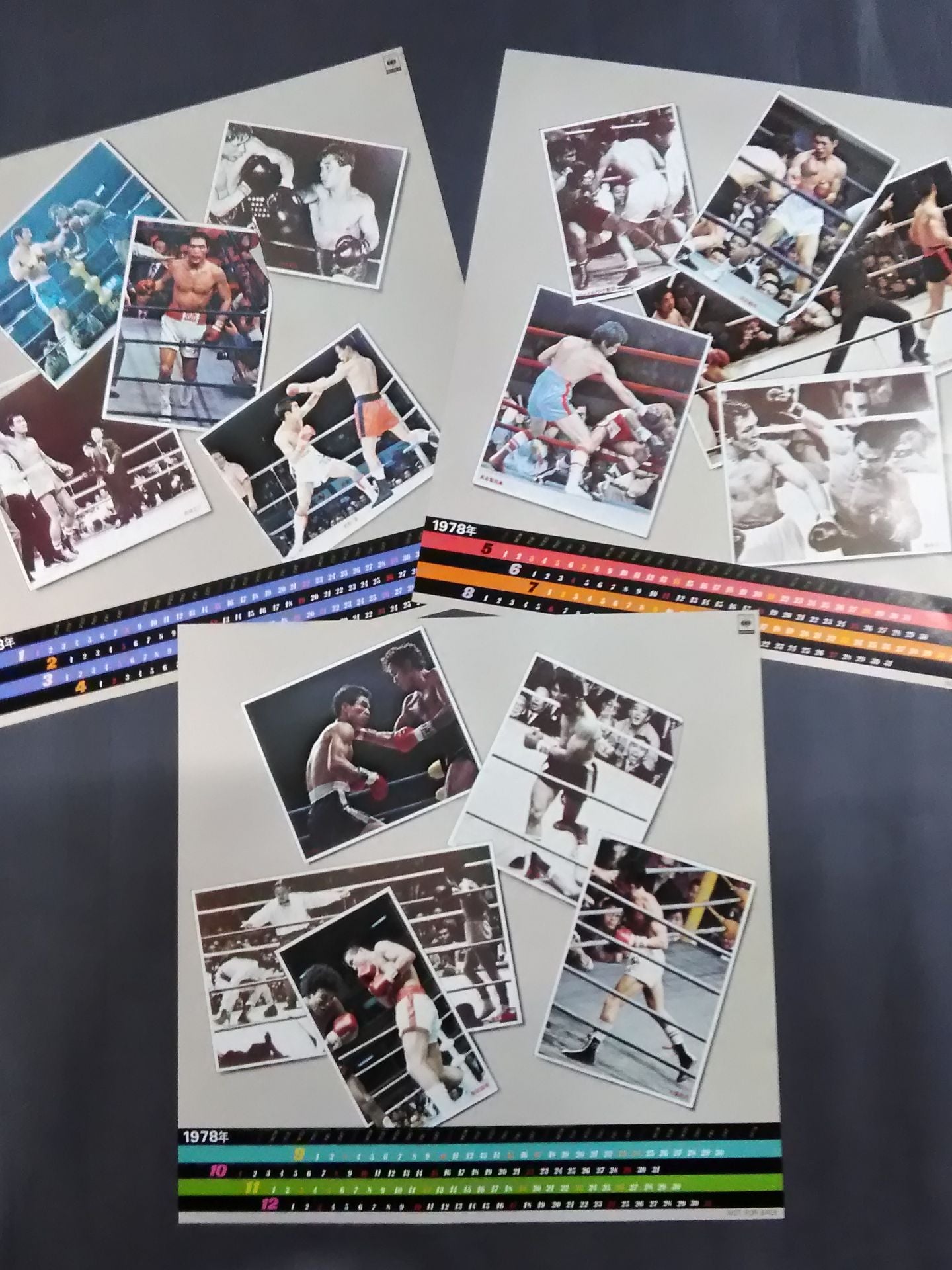 ボクシング 日本が生んだ世界チャンピオン