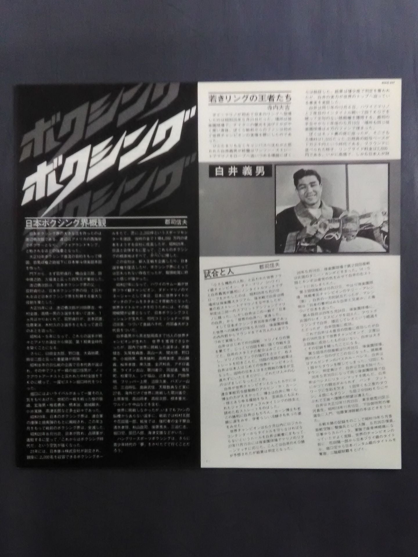 ボクシング 日本が生んだ世界チャンピオン