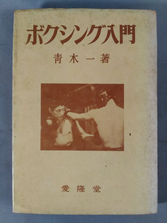 ボクシング入門