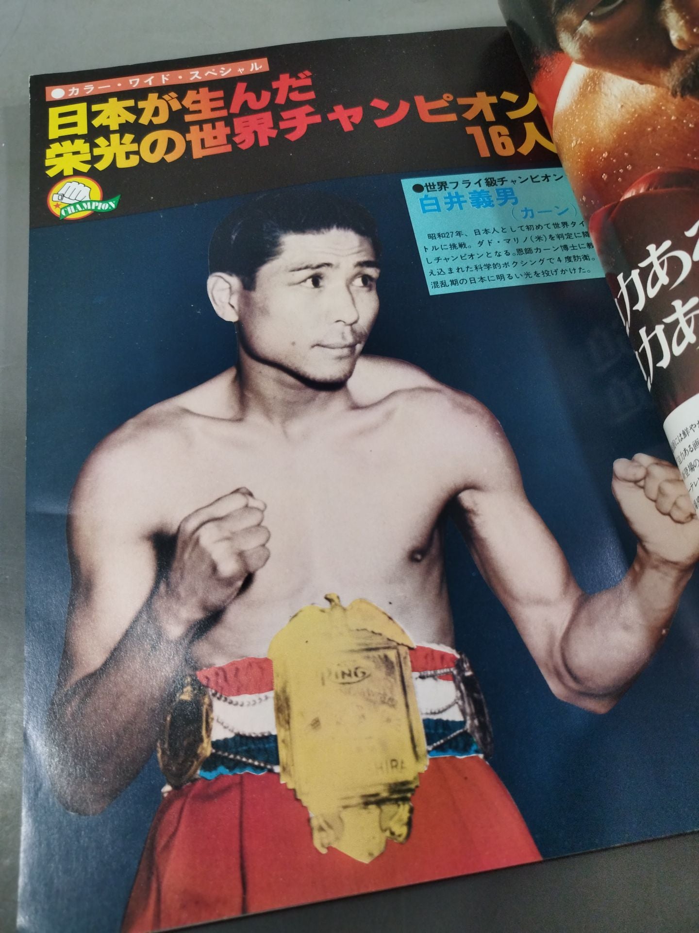 100 Famous Boxers in Japan From Yoshio Shirai to Yoko Gushiken AllComplete record of fighters with boxing photo