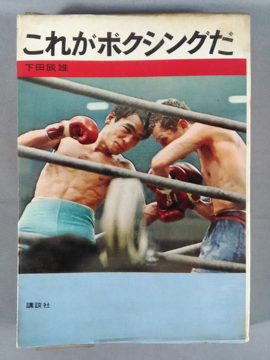 これがボクシングだ