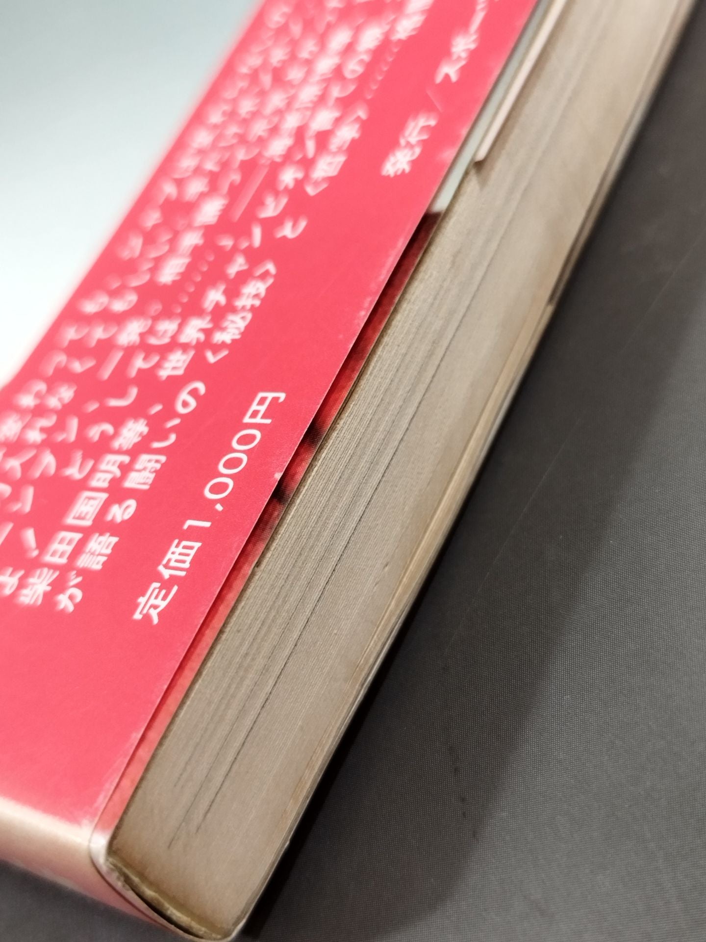 ジプシー・トレーナー 青コーナーの叙事詩