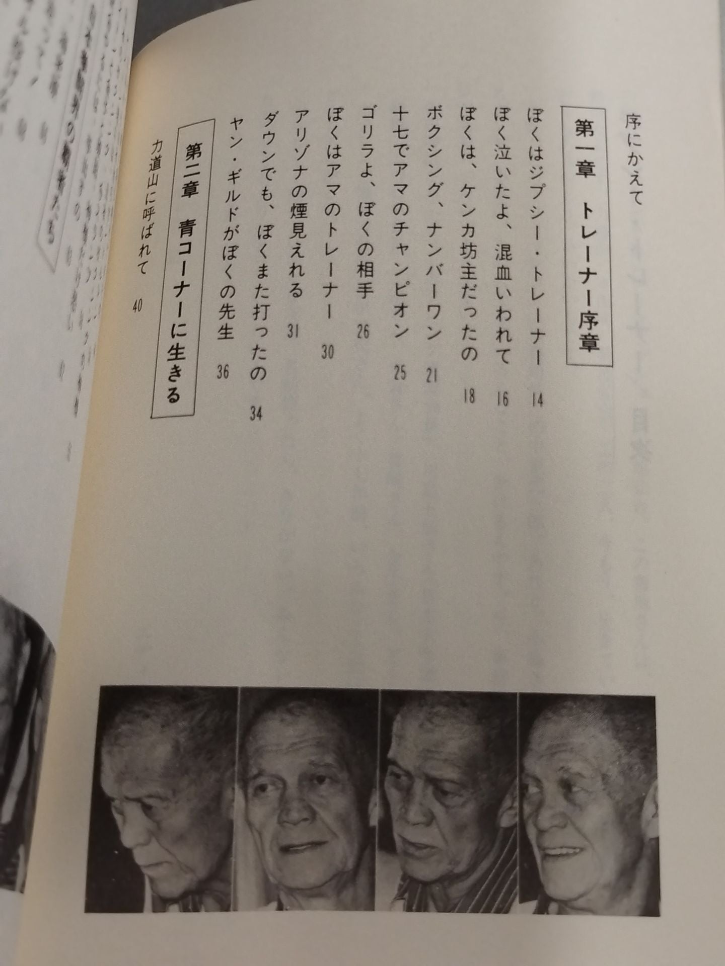 ジプシー・トレーナー 青コーナーの叙事詩