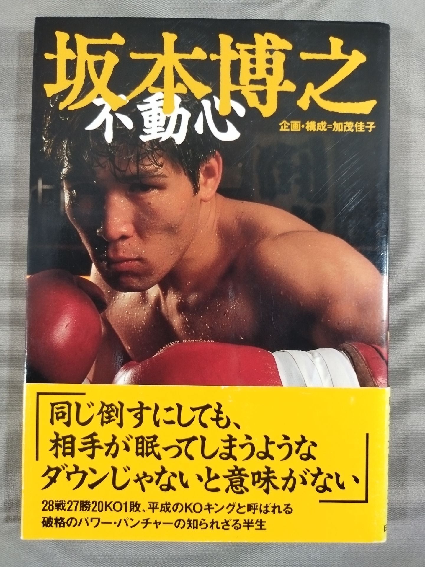 Hiroyuki Sakamoto Fudoshin