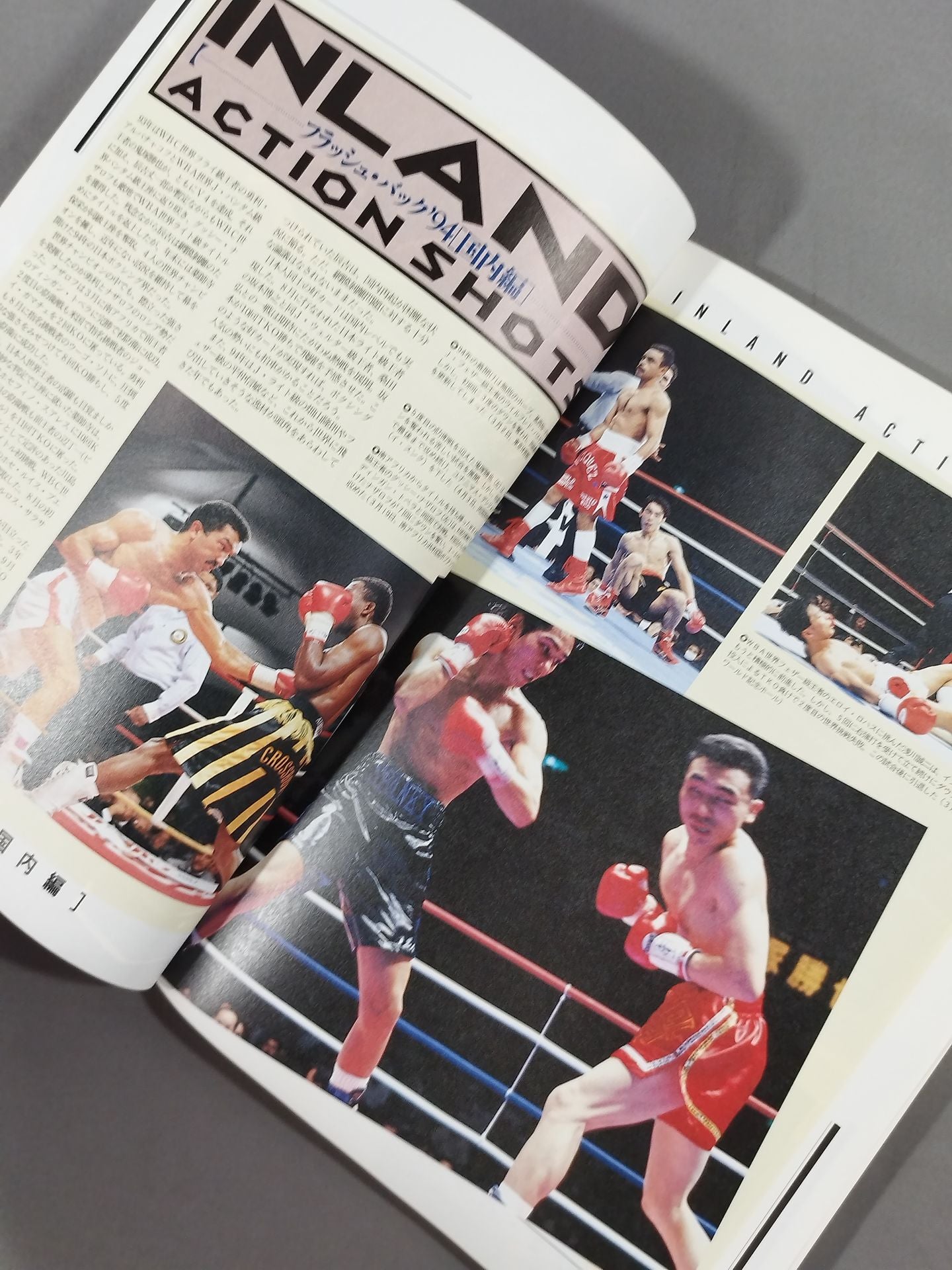 Japan Boxing Yearbook 1995 Edition
