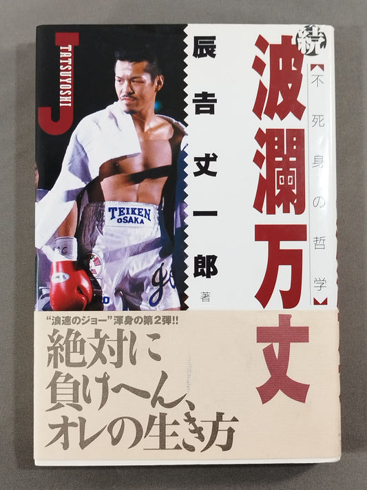 不死身の哲学 続波瀾万丈