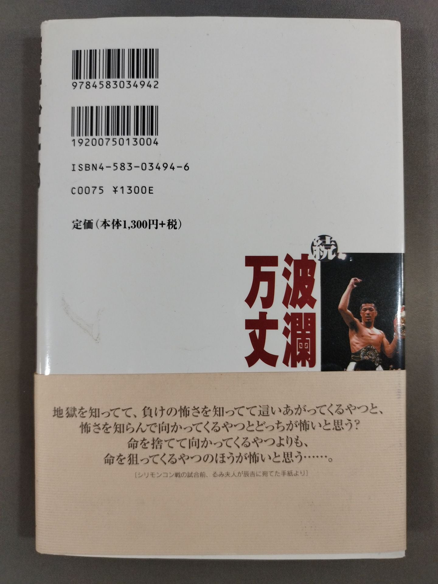 不死身の哲学 続波瀾万丈