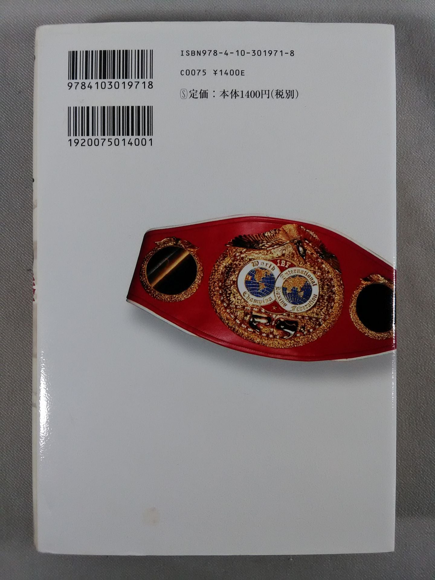 マイノリティーの拳 世界チャンピオンの光と闇