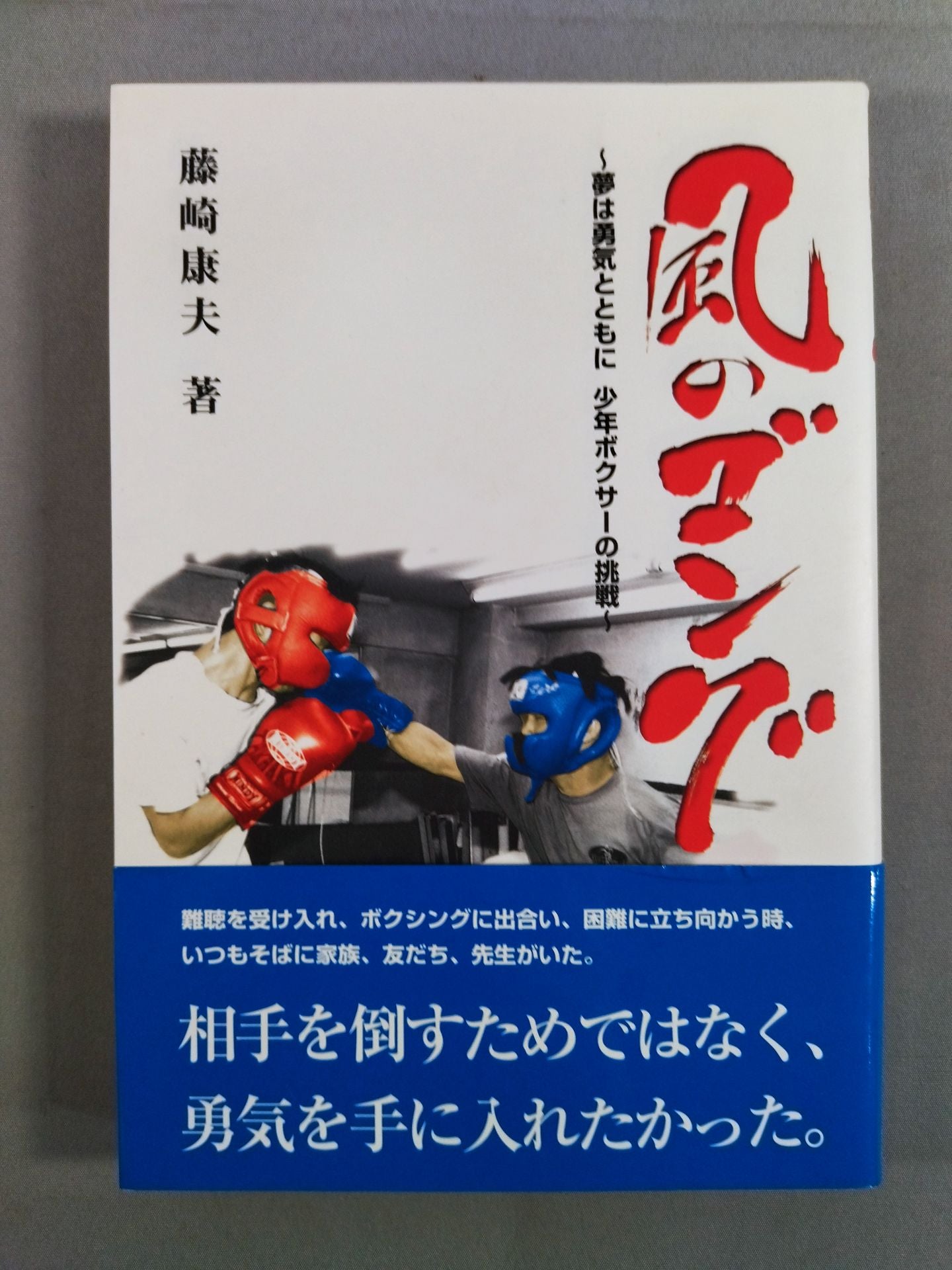 風のゴング ~夢は勇気とともに 少年ボクサーの挑戦~