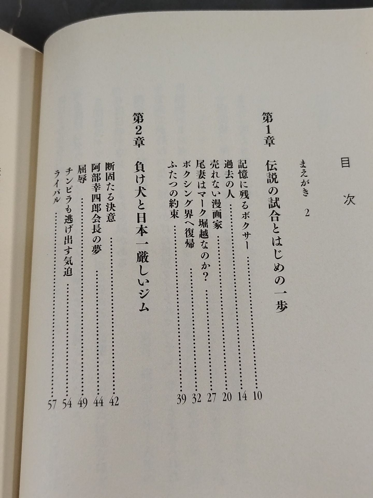 殴られた犬の誇り 俺は諦めなかった