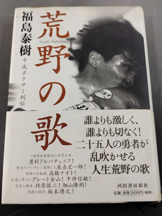 荒野の歌 平成ボクサー列伝
